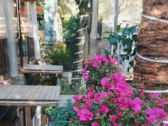 -醉月城西昌火盆烧烤(天府店)