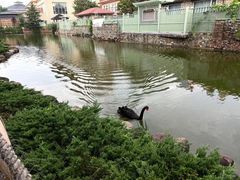 -芭东小镇温泉