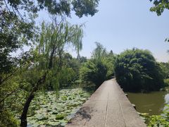 -西溪国家湿地公园