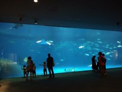 -鹿儿岛水族馆
