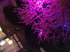 -韵秋荷(宝山龙湖天街店)
