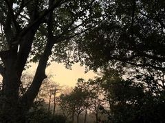 -番禺大夫山森林公园