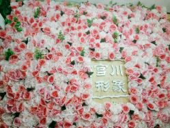 -宫川形象