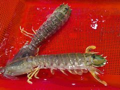 -聚福宝合苑食府(南头镇店)