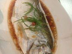 -晓淮山·扬州早茶·淮扬菜(龙阳广场店)