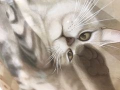 -陈树人纪念馆