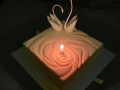 -BLACKSWAN黑天鹅(环球店)