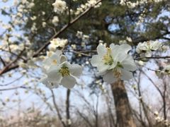 -颐和园