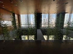 -广州富力君悦大酒店空中花园