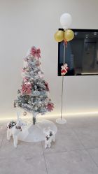 -VE专注问题肌·赛诺龙&科学美肤中心