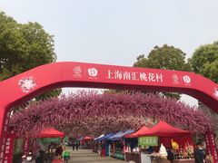 -南汇桃花村