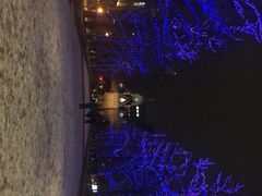 -北海道厅旧本厅舍(旧本庁舎)