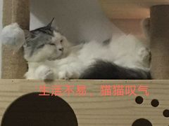 -牙易美口腔连锁(圣堂店)