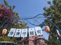 -猫咪博物馆(顶澳仔猫街店)