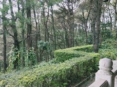 -三水森林公园