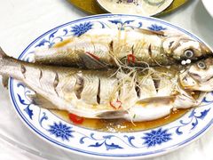 清蒸白水鱼-状元楼(金溪路店)