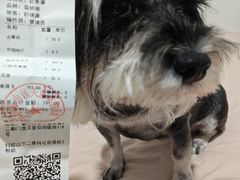 -关爱动物医院·心脏·中兽医·异宠(金牛路分院)