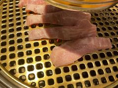 猪颈肉-唯成•韩国炭火烤肉 유성고기
