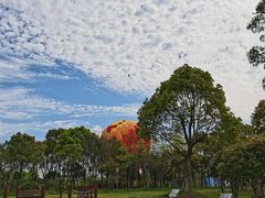 -梁鸿国家湿地公园