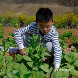 这样一个地方、简直太爱了，风景、孩子，欢乐，都齐了