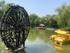 -南宫五洲植物乐园