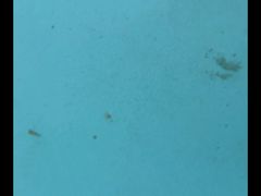 -环球中心海洋乐园