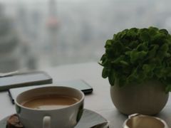 -上海柏悦酒店