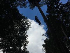 -清迈丛林飞跃 JungleFlight