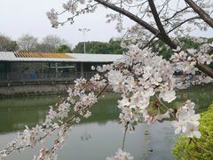 -玉山公园