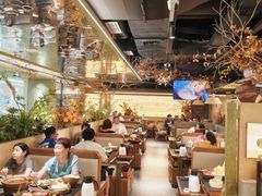 -季季山·云南野生菌火锅(上海首店)