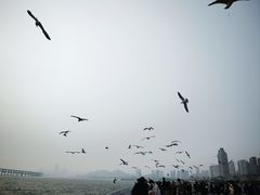 -星海广场