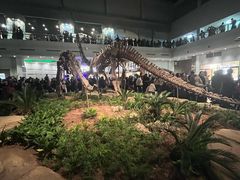 -自贡恐龙博物馆