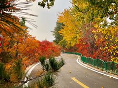 -石家庄市动物园