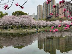 -堤角公园
