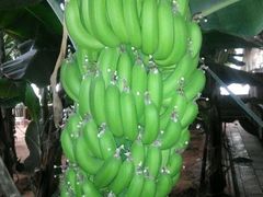 android_upload_pic-北戴河集发农业梦想王国