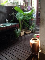 iphone_upload_pic-汉刺青TATTOO STUDIO