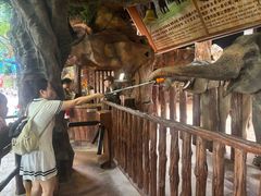 -长鹿旅游休博园