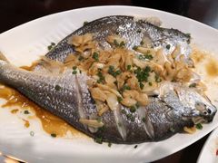 -粤色·老广州茶餐厅(河南商会大厦店)