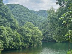 -午潮山国家森林公园