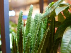 -茶马花街(城西银泰城店)