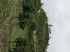 -东莞植物园