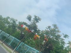 -上海海昌海洋公园