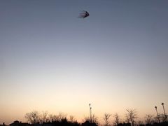 -孔子六艺文化园