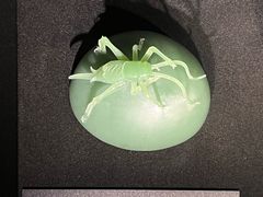 -深圳珠宝博物馆
