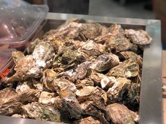-绿岛港轩海鲜烤肉涮锅自助餐厅