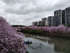 -广东花都湖国家湿地公园