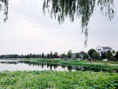 -素心小筑(后沙裕镇店)
