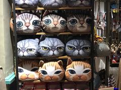 -猫咪博物馆(顶澳仔猫街店)