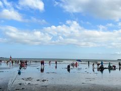 -台山黑沙湾海浴场