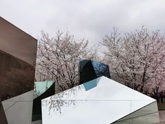 -龙美术馆(西岸馆)